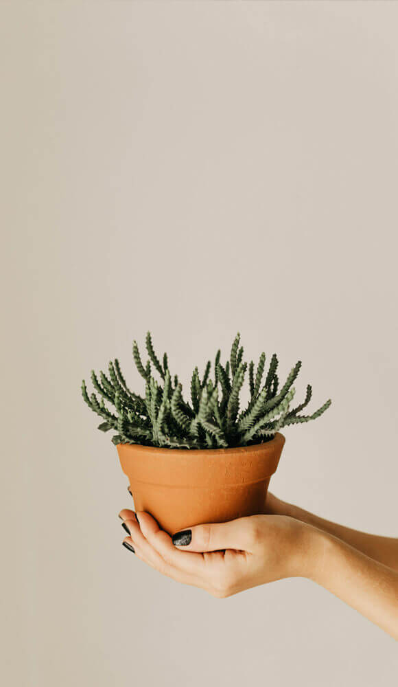 Human Centricity Image